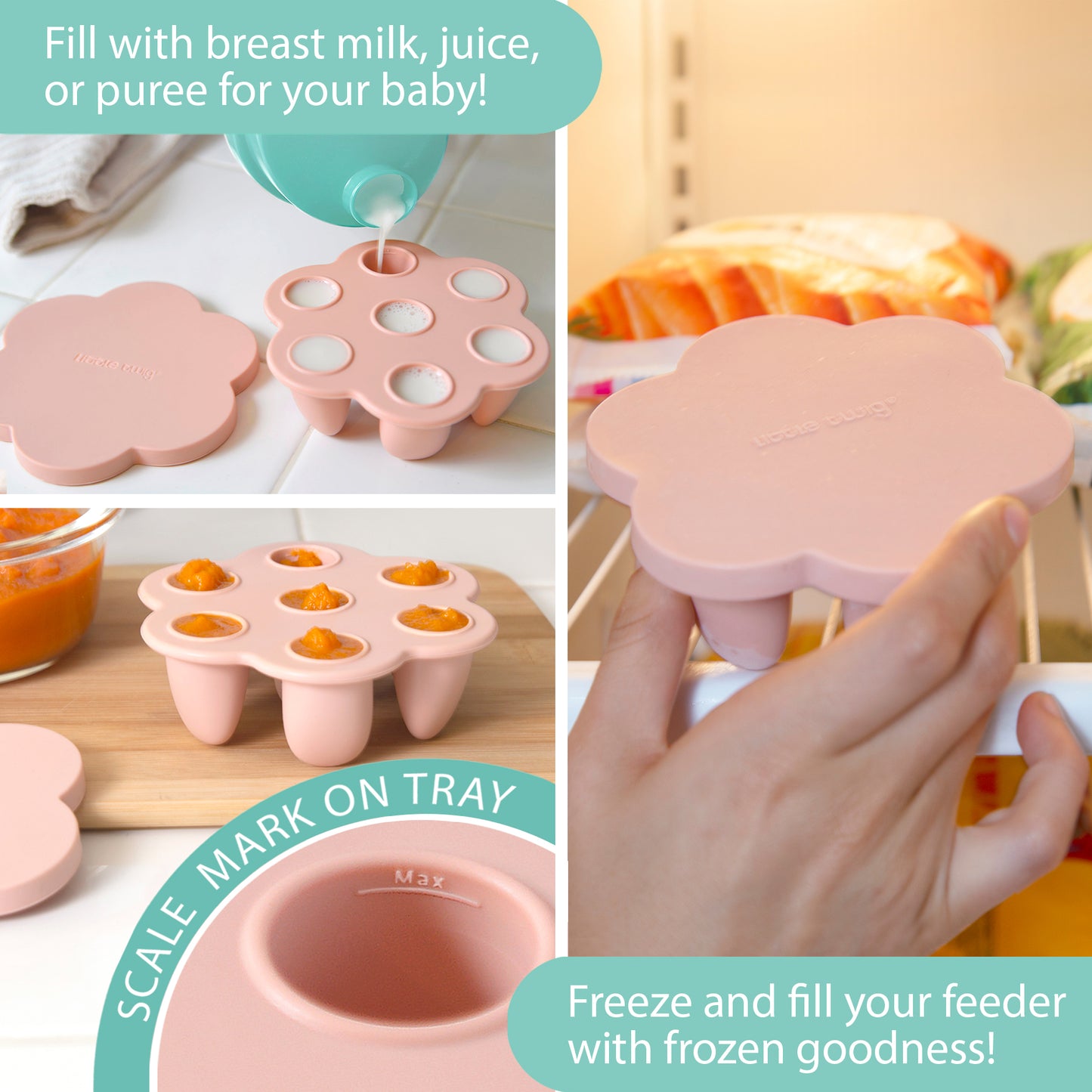 Silicone Baby Fruit Feeder and Teether Set with Breastmilk Popsicle Freezer Molds, Rose