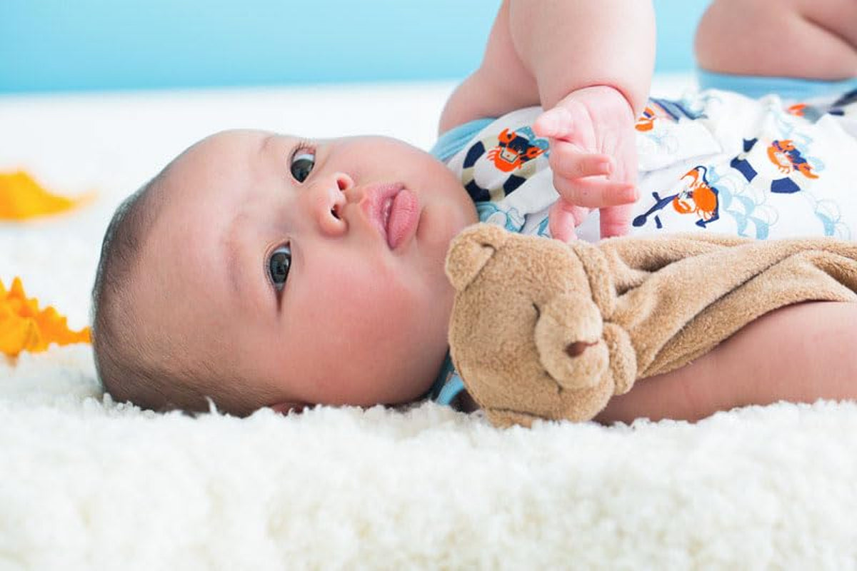 Blankie, Brown Bear